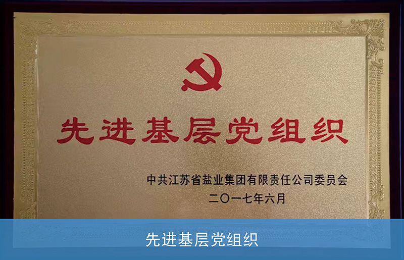 2017先进基层党组织.JPG